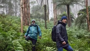 Задник к фильму "Город тайн: Исчезнувшая" #430477