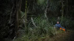 Задник к фильму "Кольцевая дорога" #375709