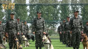 Задник к фильму "" #536822