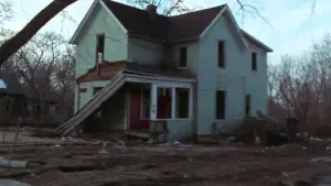 Задник к фильму "Роджер и я" #500489