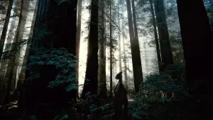 Задник к фильму "Древо жизни" #723967