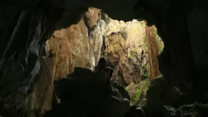 Задник к фильму "Дядюшка Бунми, который помнит свои прошлые жизни" #271423