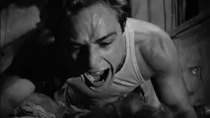 Задник к фильму "Трамвай «Желание»" #726940