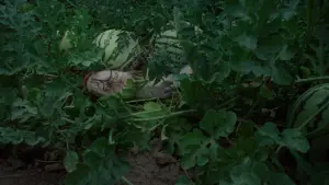 Задник к фильму "Пустоши" #667951