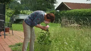 Задник к фильму "" #733478