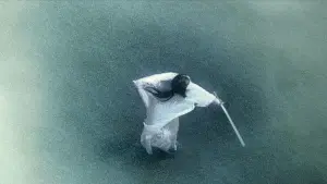 Задник к фильму "Прах времен" #242378