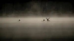 Задник к фильму "" #534611