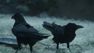 Задник к фильму "Гадкая сестра" #519213