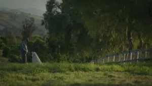 Задник к фильму "" #478443