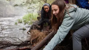 Задник к фильму "Город тайн: Исчезнувшая" #430456