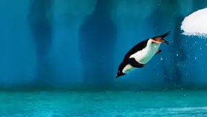 Задник к фильму "Океаны" #387001