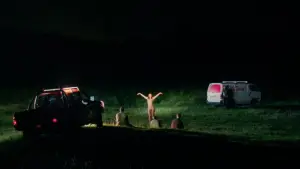 Задник к фильму "Пожиратель птиц" #664051