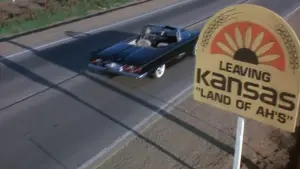 Задник к фильму "Эльвира - Повелительница Тьмы" #278271