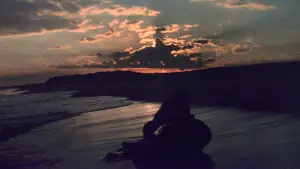 Задник к фильму "Челюсти" #520996