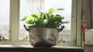 Задник к фильму "" #374014