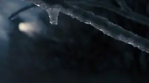 Задник к фильму "Милые кости" #654305