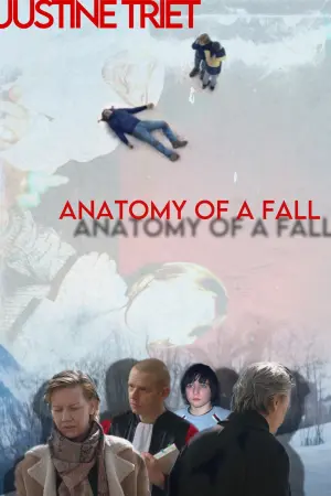 Постер к фильму "Анатомия падения" #193051