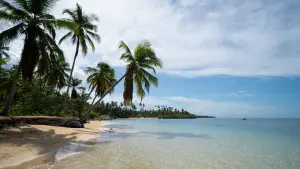 Задник к фильму "" #453776