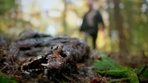 Задник к фильму "" #465973