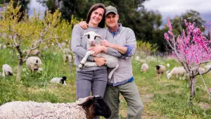 Задник к фильму "" #478442