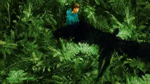 Задник к фильму "Королевство зверей" #714018