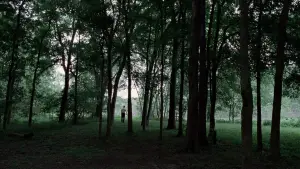 Задник к фильму "Древо жизни" #723963