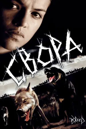 Постер к фильму "Свора" #152721
