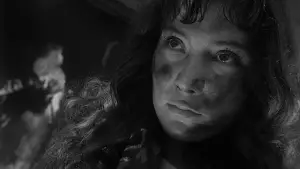 Задник к фильму "Летят журавли" #720493