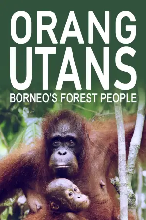 Постер к фильму "Orang-Utans - Borneos Waldmenschen" #922243
