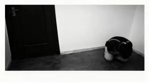 Задник к фильму "" #564106