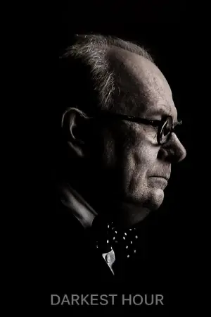 Постер к фильму "Темные времена" #80493