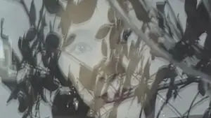 Задник к фильму "監禁逃亡　美しき獲物たち" #844812