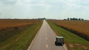 Задник к фильму "Простая история" #529237