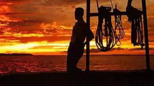 Задник к фильму "Форрест Гамп" #528491