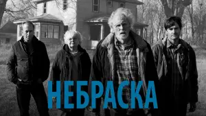 Задник к фильму "Небраска" #697980