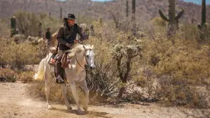 Задник к фильму "" #633380