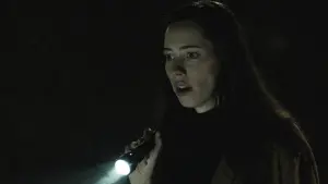 Задник к фильму "Дом на другой стороне" #274355