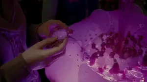 Задник к фильму "Гарри Поттер и Принц-полукровка" #559518