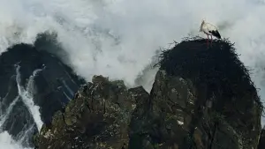 Задник к фильму "" #395116