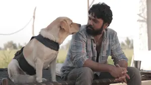 Задник к фильму "777 Чарли" #418985