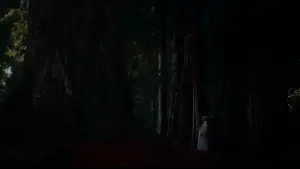 Задник к фильму "Головокружение" #635972