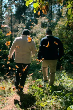 Постер к фильму "The Guardian of the Monarchs"