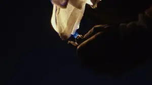 Задник к фильму "Достать ножи" #561318