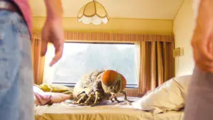 Задник к фильму "Жвалы" #291298