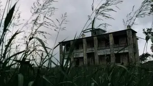 Задник к фильму "Техасская резня бензопилой" #711026