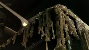 Задник к фильму "Дом восковых фигур" #481134