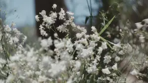 Задник к фильму "Материалистка" #558692