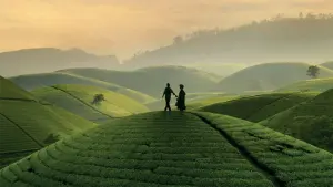 Задник к фильму "" #192673