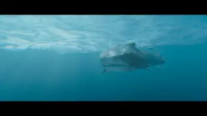 Задник к фильму "" #453765