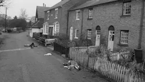 Задник к фильму "Деревня проклятых" #234135